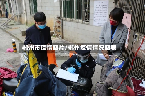 郴州市疫情图片/郴州疫情情况图表