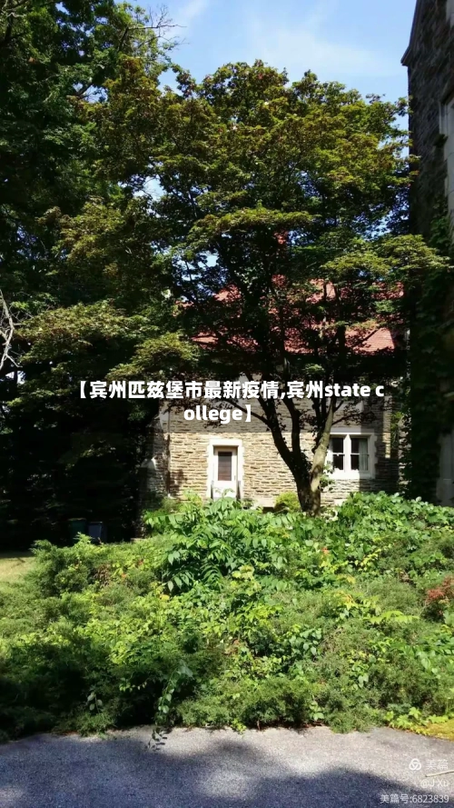 【宾州匹兹堡市最新疫情,宾州state college】-第2张图片