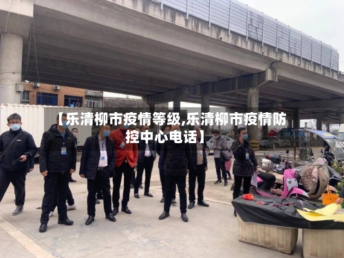 【乐清柳市疫情等级,乐清柳市疫情防控中心电话】