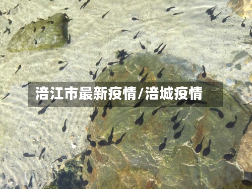 涪江市最新疫情/涪城疫情