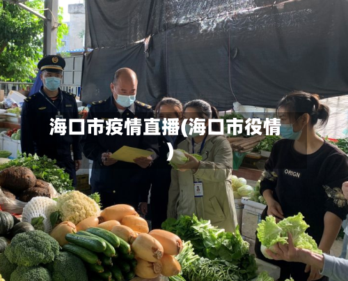 海口市疫情直播(海口市役情)