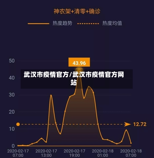 武汉市疫情官方/武汉市疫情官方网站