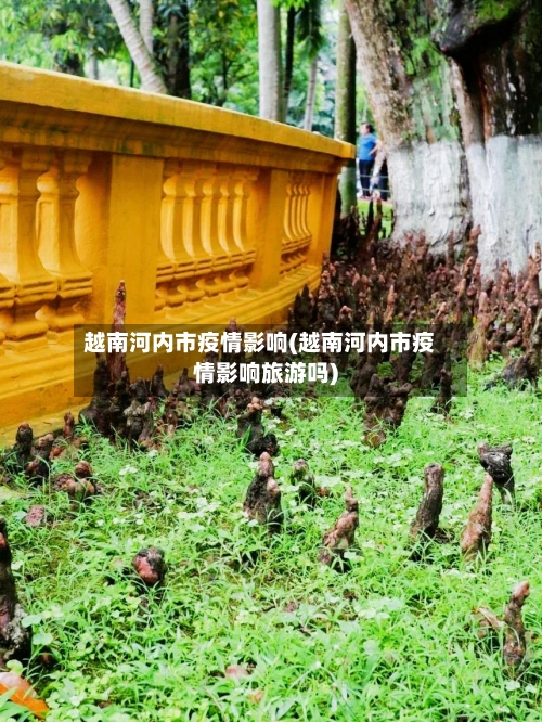 越南河内市疫情影响(越南河内市疫情影响旅游吗)-第2张图片