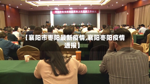 【襄阳市枣阳最新疫情,襄阳枣阳疫情通报】-第2张图片