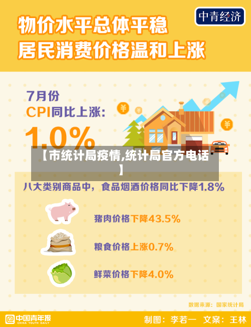 【市统计局疫情,统计局官方电话】-第2张图片