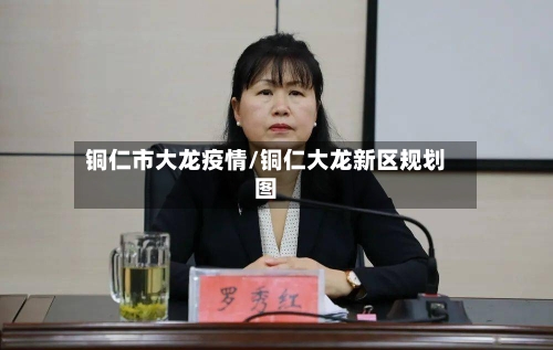 铜仁市大龙疫情/铜仁大龙新区规划图