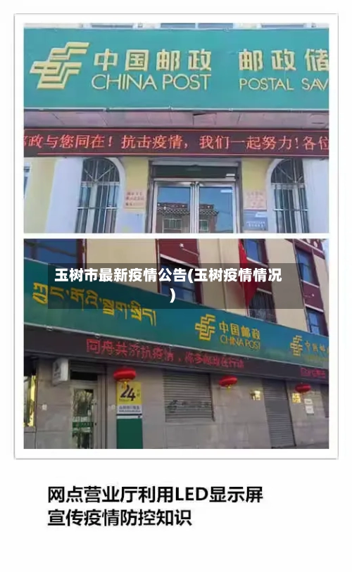 玉树市最新疫情公告(玉树疫情情况)