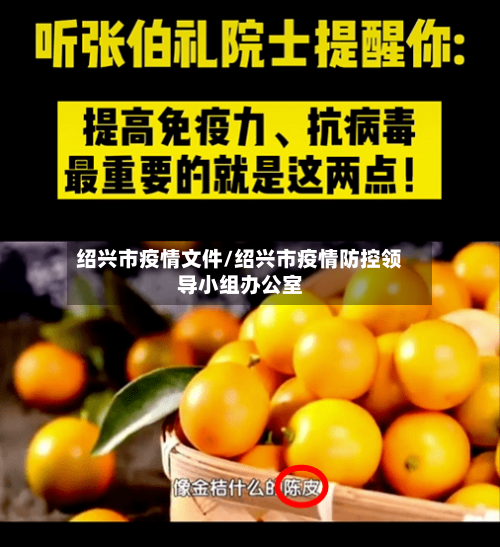 绍兴市疫情文件/绍兴市疫情防控领导小组办公室-第3张图片