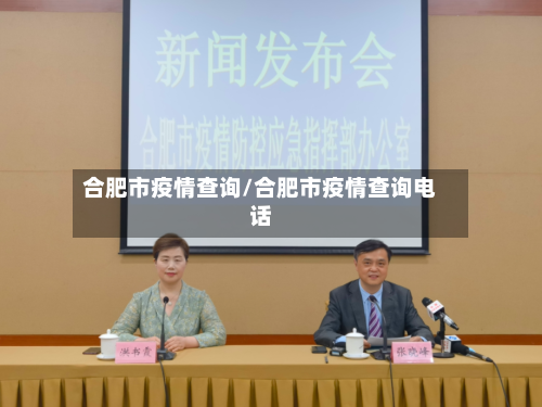 合肥市疫情查询/合肥市疫情查询电话