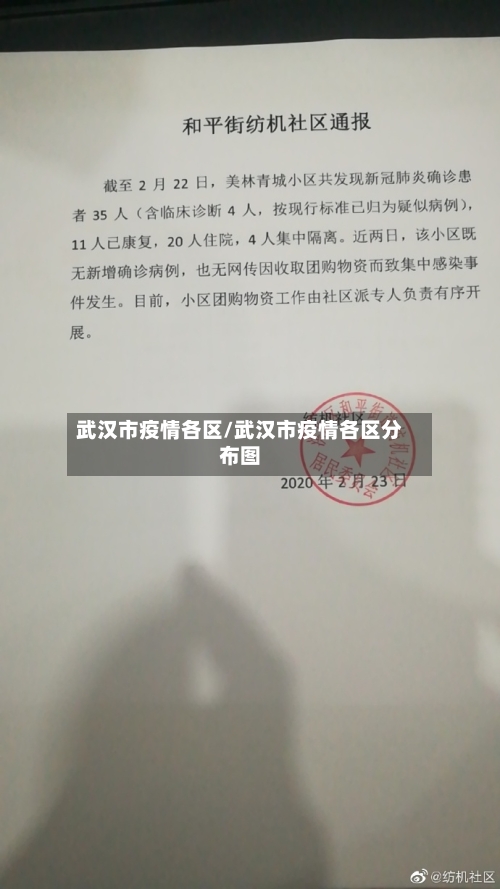 武汉市疫情各区/武汉市疫情各区分布图