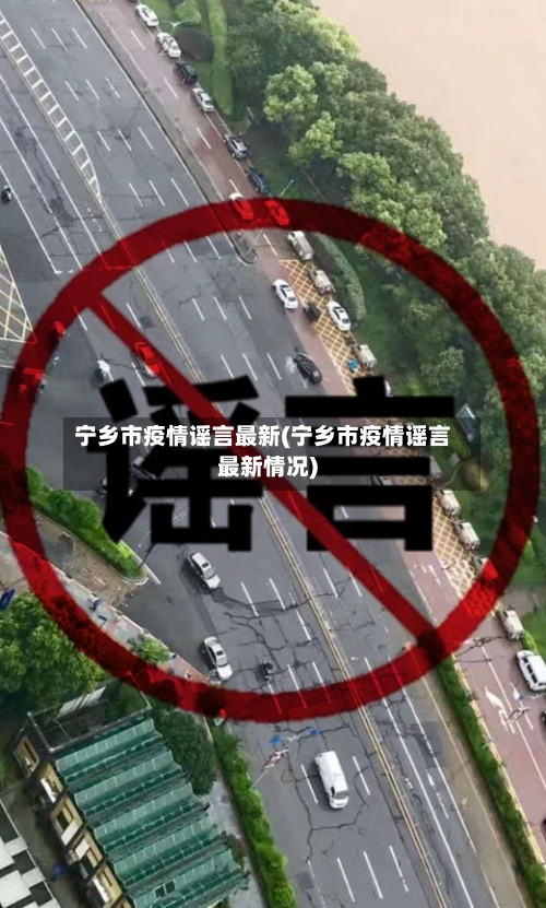 宁乡市疫情谣言最新(宁乡市疫情谣言最新情况)