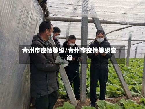 青州市疫情等级/青州市疫情等级查询