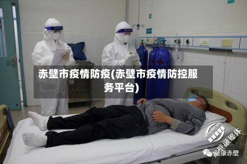 赤壁市疫情防疫(赤壁市疫情防控服务平台)