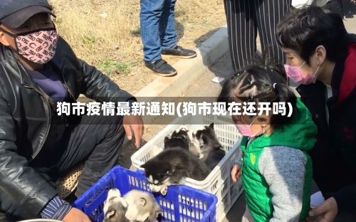 狗市疫情最新通知(狗市现在还开吗)-第2张图片