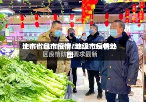 地市省包市疫情/地级市疫情地图