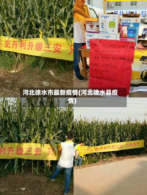 河北徐水市最新疫情(河北徐水县疫情)