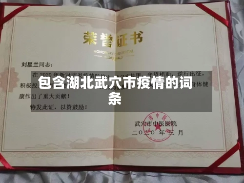 包含湖北武穴市疫情的词条