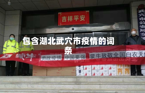 包含湖北武穴市疫情的词条-第2张图片
