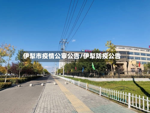 伊犁市疫情公审公告/伊犁防疫公告-第2张图片