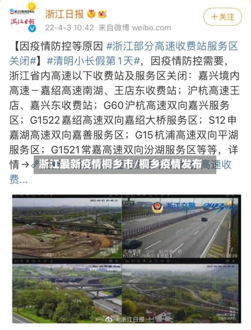 浙江最新疫情桐乡市/桐乡疫情发布-第3张图片