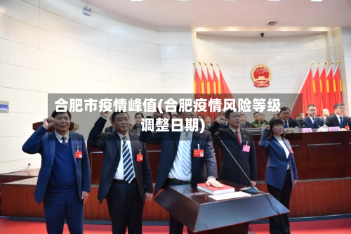 合肥市疫情峰值(合肥疫情风险等级调整日期)
