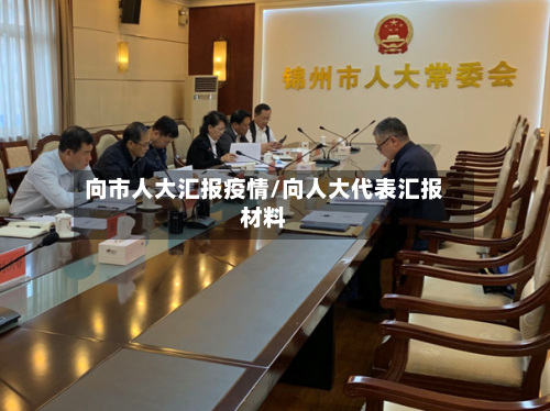 向市人大汇报疫情/向人大代表汇报材料