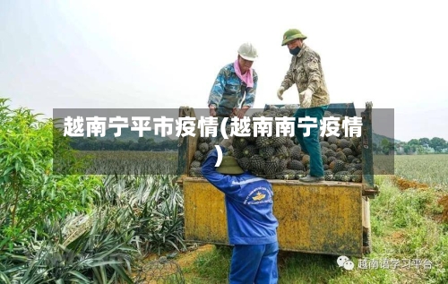 越南宁平市疫情(越南南宁疫情)