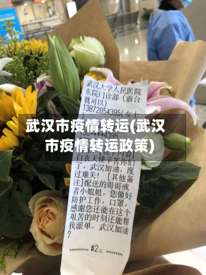 武汉市疫情转运(武汉市疫情转运政策)-第2张图片