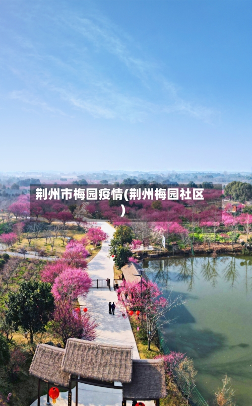 荆州市梅园疫情(荆州梅园社区)