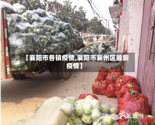 【襄阳市各镇疫情,襄阳市襄州区最新疫情】