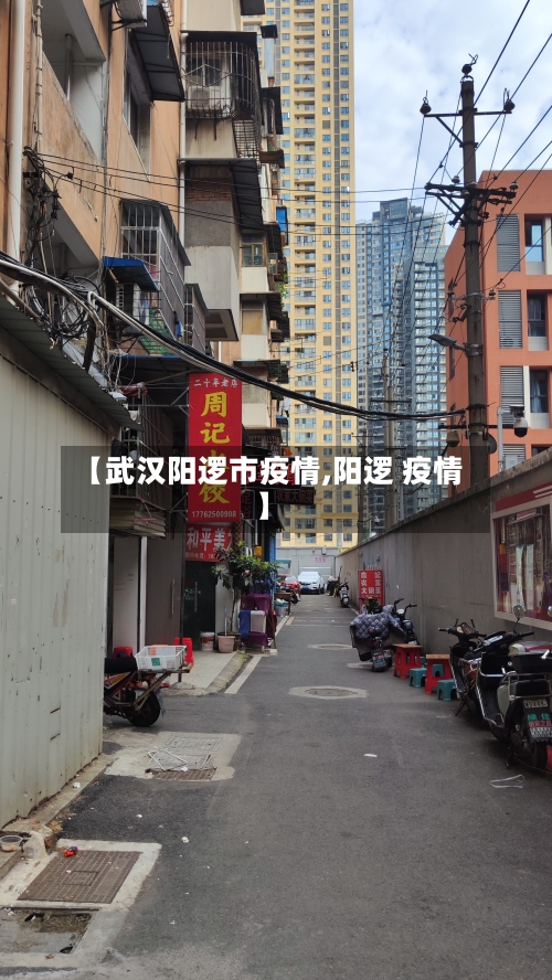 【武汉阳逻市疫情,阳逻 疫情】-第2张图片