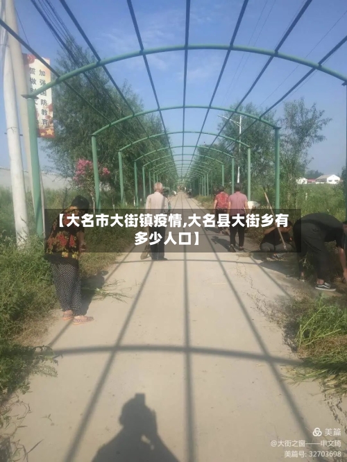 【大名市大街镇疫情,大名县大街乡有多少人口】