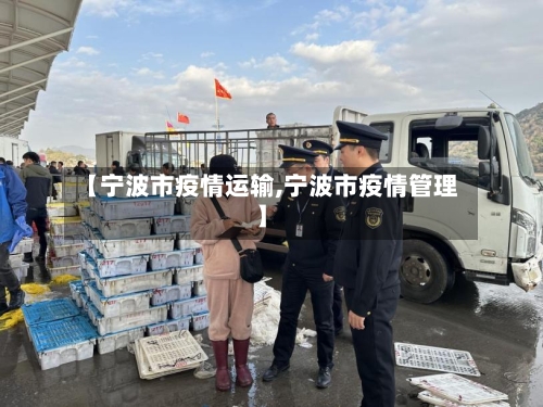 【宁波市疫情运输,宁波市疫情管理】