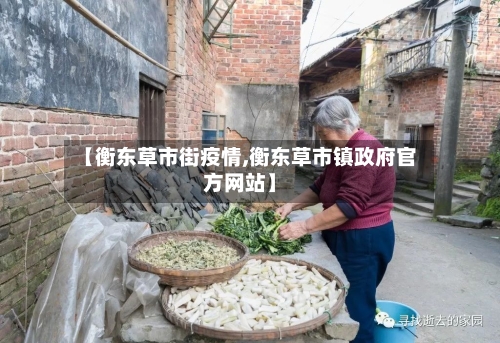 【衡东草市街疫情,衡东草市镇政府官方网站】