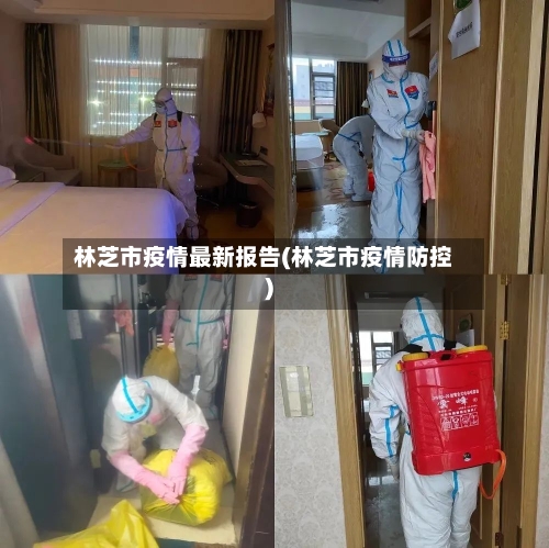 林芝市疫情最新报告(林芝市疫情防控)-第3张图片