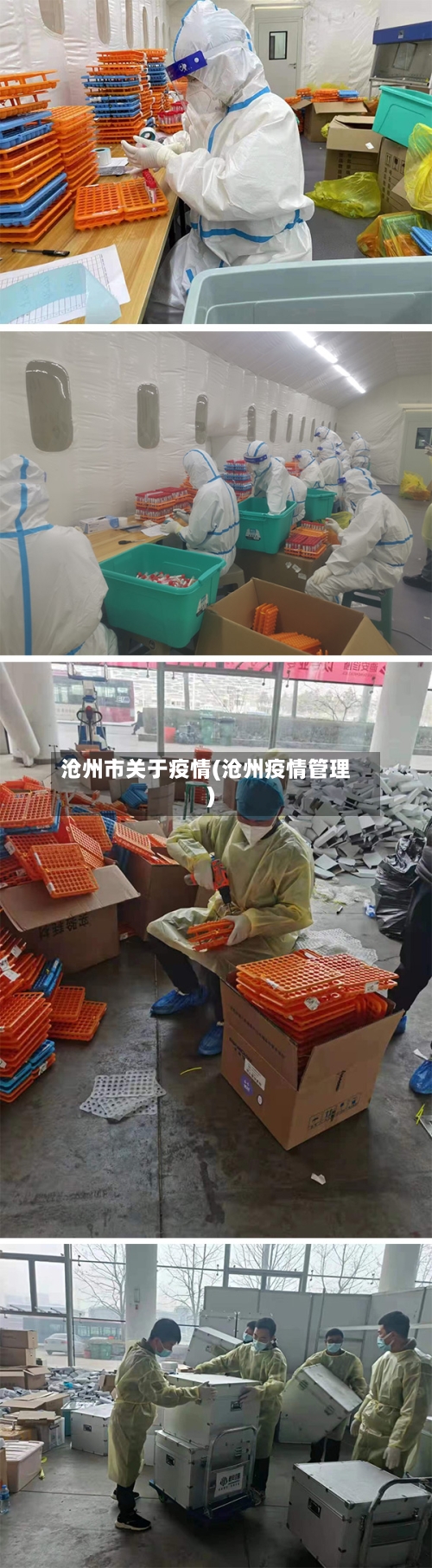 沧州市关于疫情(沧州疫情管理)