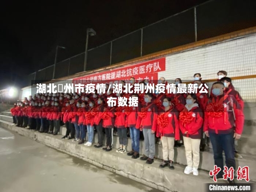 湖北荊州市疫情/湖北荆州疫情最新公布数据