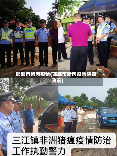 邯郸市猪肉疫情(邯郸市猪肉疫情防控政策)