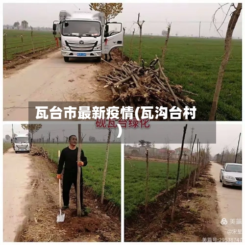 瓦台市最新疫情(瓦沟台村)