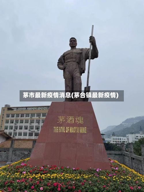 茅市最新疫情消息(茅台镇最新疫情)-第2张图片