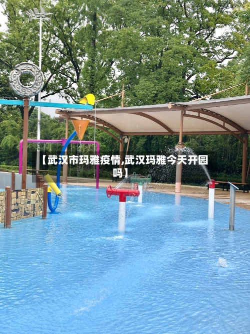 【武汉市玛雅疫情,武汉玛雅今天开园吗】