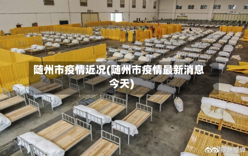 随州市疫情近况(随州市疫情最新消息今天)-第2张图片