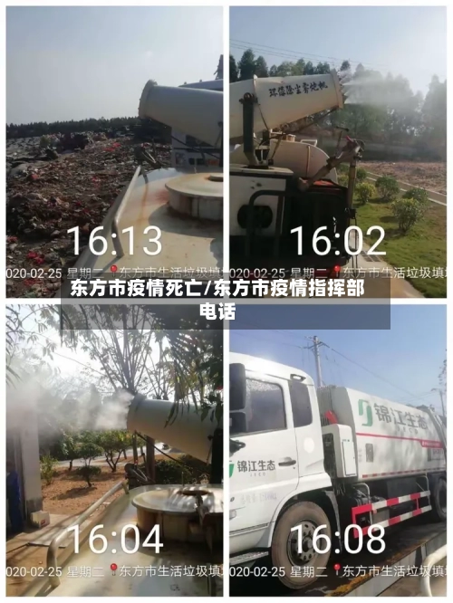 东方市疫情死亡/东方市疫情指挥部电话-第2张图片