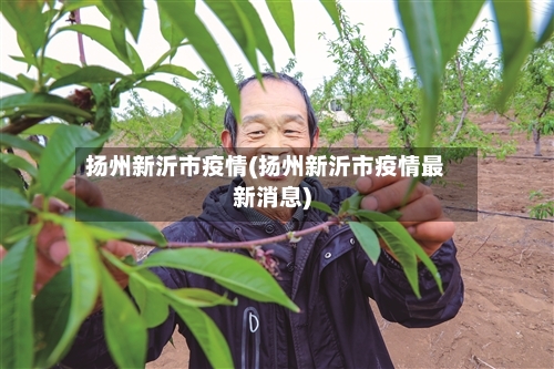 扬州新沂市疫情(扬州新沂市疫情最新消息)-第3张图片