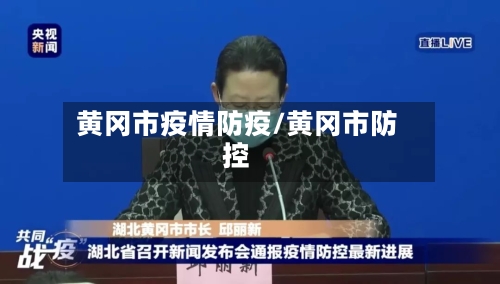 黄冈市疫情防疫/黄冈市防控-第3张图片
