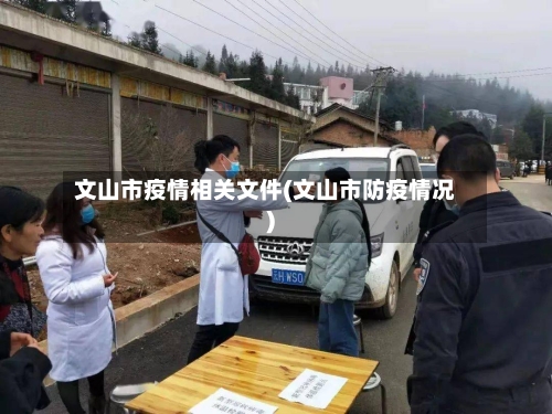 文山市疫情相关文件(文山市防疫情况)