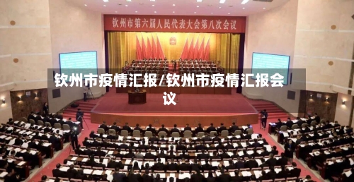 钦州市疫情汇报/钦州市疫情汇报会议