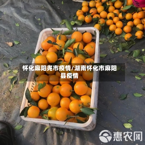 怀化麻阳尧市疫情/湖南怀化市麻阳县疫情-第2张图片