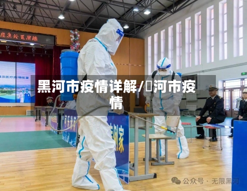 黑河市疫情详解/黒河市疫情