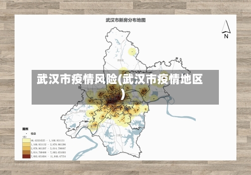 武汉市疫情风险(武汉市疫情地区)